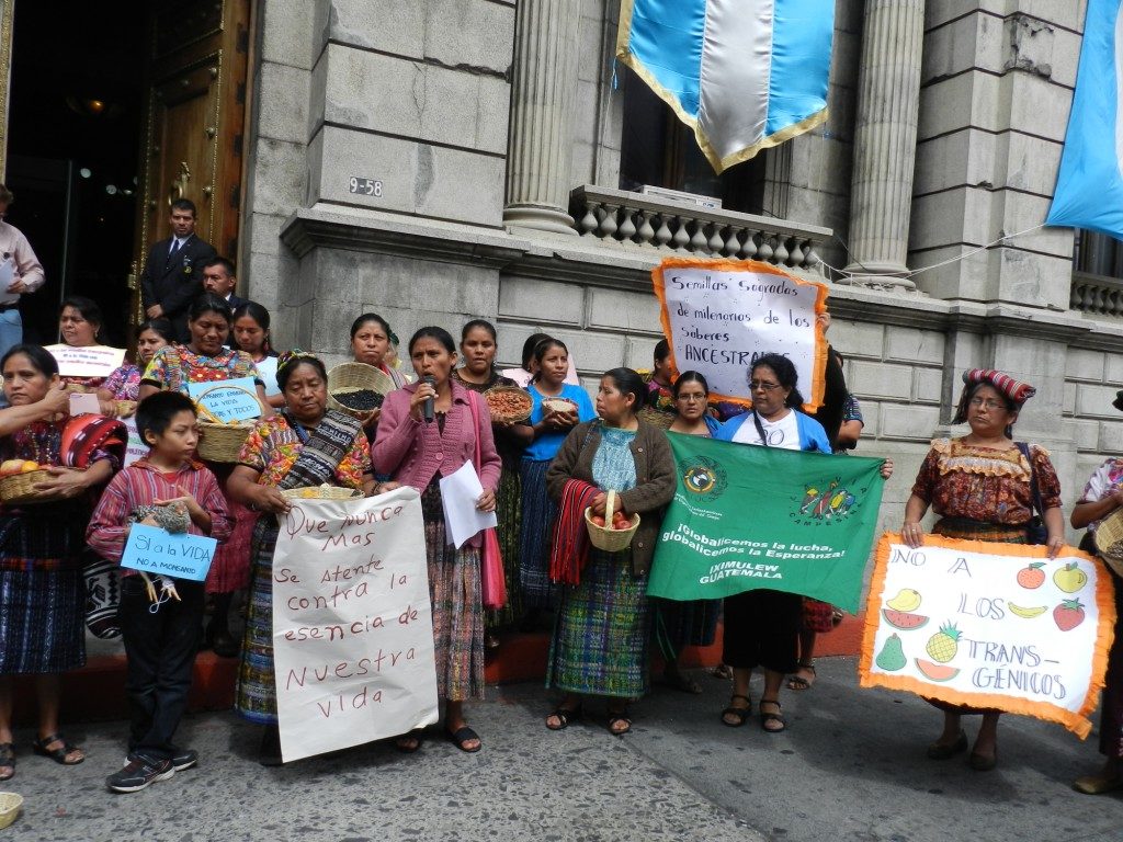 Guatemala : Sous la pression des mouvements sociaux, la Justice suspend temporairement une partie de la “Loi Monsanto”